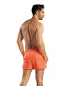  Slip de bain model 182801 Lorin 