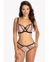  Soft model 173291 Gaia 