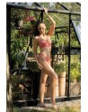  Push up model 204117 Mat 