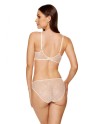  Push up model 188778 Gorteks 