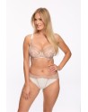  Semi-soft model 208969 Gaia 